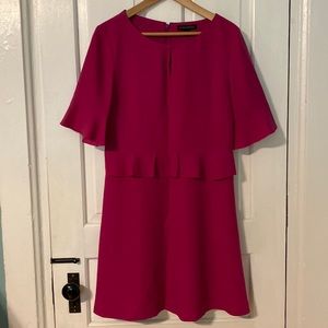 Banana Republic Fuschia Pink Ruffled Petite Dress